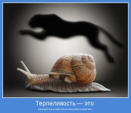 напористость при отсутствии беспокойства. 