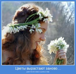 даже после самых суровых зим)