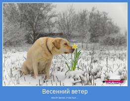 несёт запах счастья…