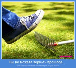 Но вы несомненно можете его не повторять. © Брюс Уиллис